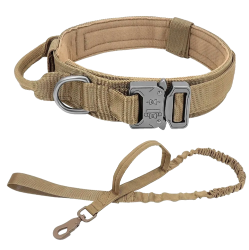 Тактический ошейник PMX-STDG с поводком Койот